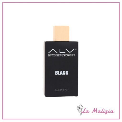 Alviero Martini Black pour homme edp 100 ml spray